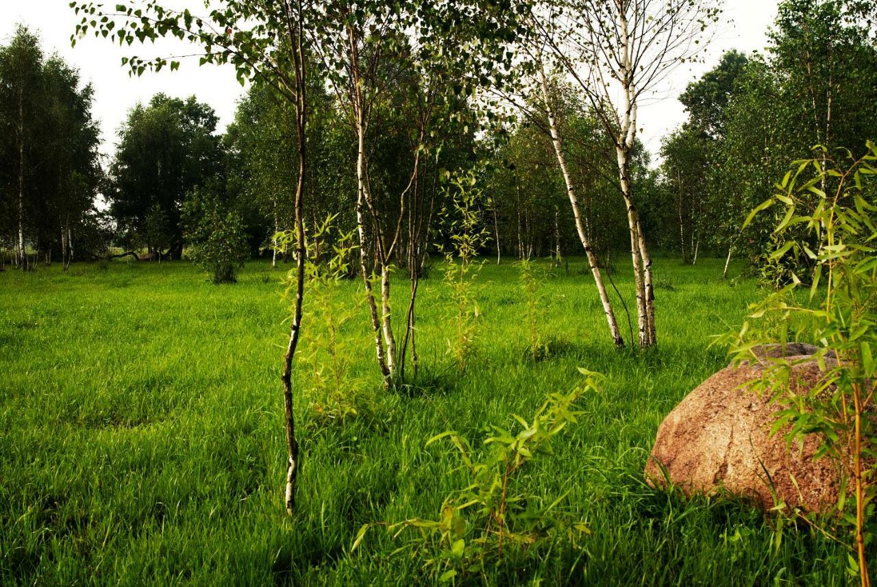Villa Przystan Kurpiowska à Turosl Extérieur photo